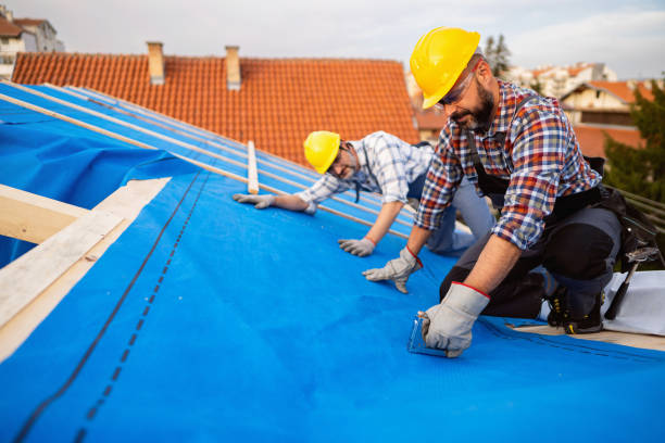 Best Slate Roofing Contractor  in Henderson, TN