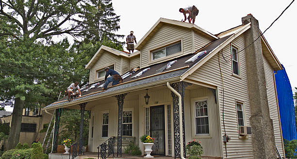 Best Metal Roofing Contractor  in Henderson, TN